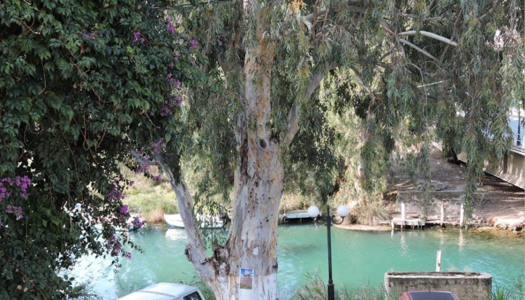 Egeon Rooms And Studios Georgioupoli Esterno foto
